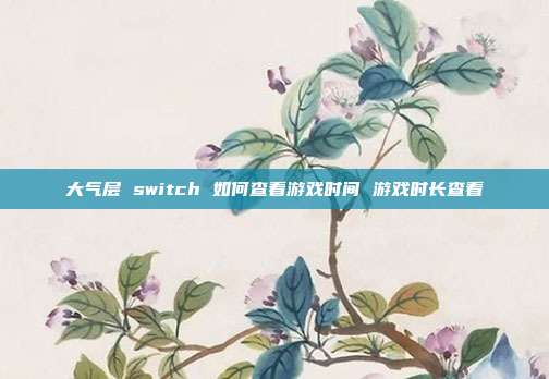 大气层 switch 如何查看游戏时间 游戏时长查看